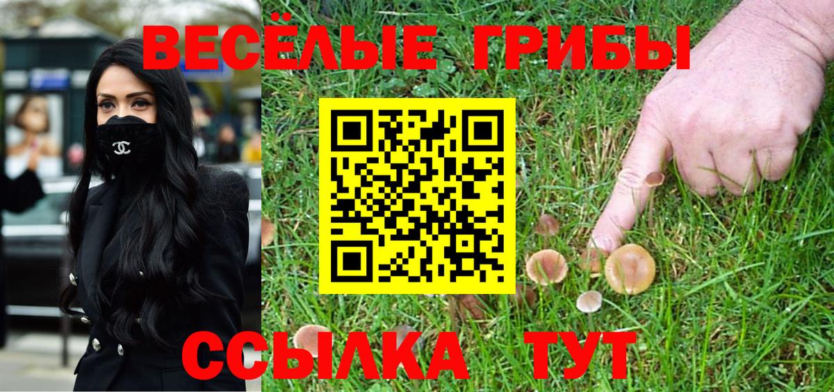 Галлюциногенные грибы Psilocybe Симферополь