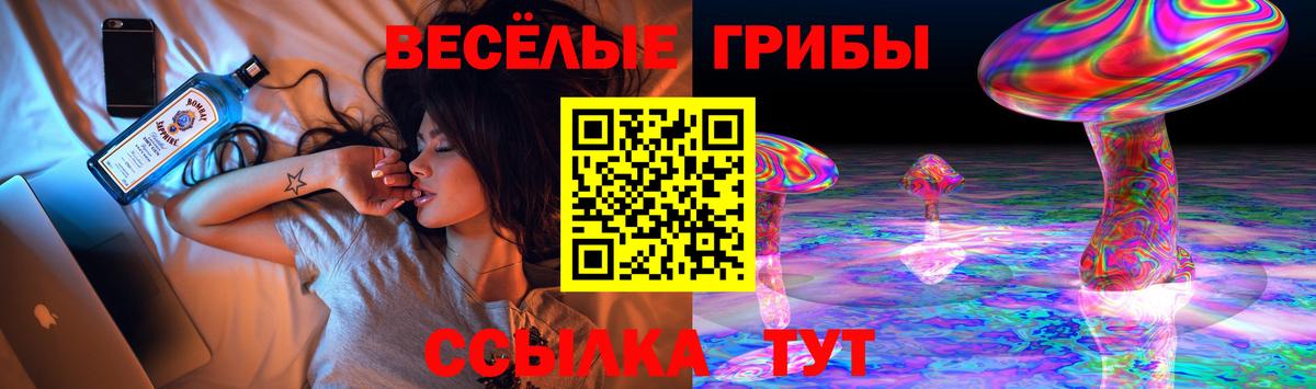Галлюциногенные грибы ЛСД  Галлюциногенные грибы Magic Shrooms  Вход с VPN  Симферополь 